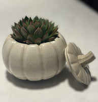 Pumpkin Planter