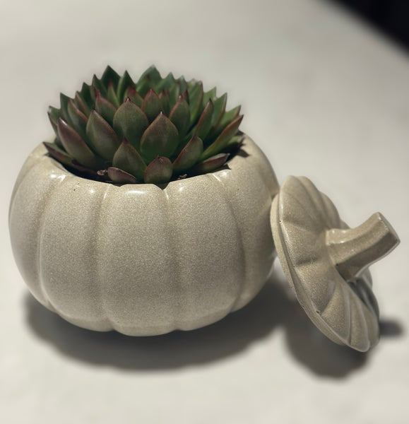 Pumpkin Planter | ws