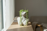 Mila Sculpture Vase | ws