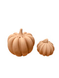 Pumpkin Decor