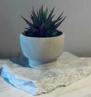 Pedestal Planter / Smudge Bowl | ws