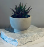 Pedestal Planter / Smudge Bowl