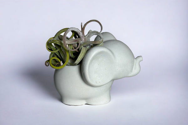 Elephant Planter / Tea Light Holder | ws
