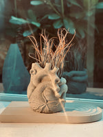 Anatomical Heart Planter | ws
